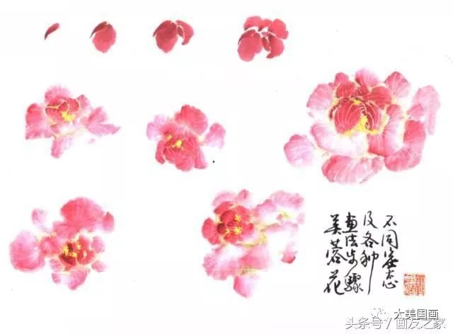 每日一学——国画技法：写意芙蓉的画法