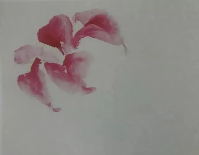 每日一学：分享几组小写意花卉画法——花头的画法