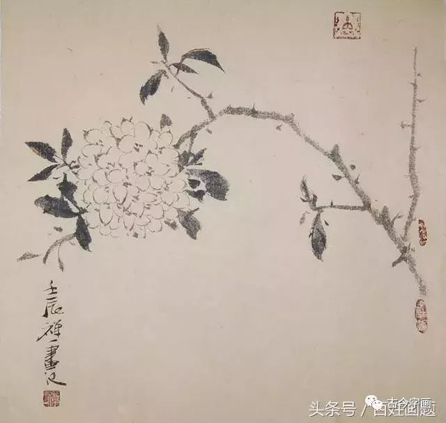 每日一学——写意花鸟画如何做到以书助画，书画并进？